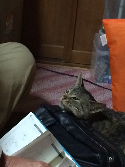 julie2017_002.jpeg